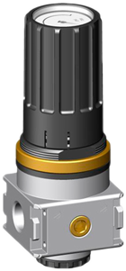 Pressure Regulator Knocks